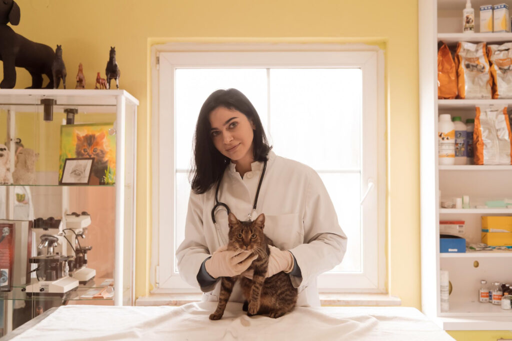 Simples Nacional 2025 alterações e o impacto para pet shops e clínicas veterinárias