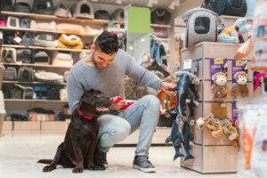 Gestão fiscal para pet shops o que considerar para evitar problemas com o fisco